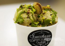 Succharia Organic Ice Cream 